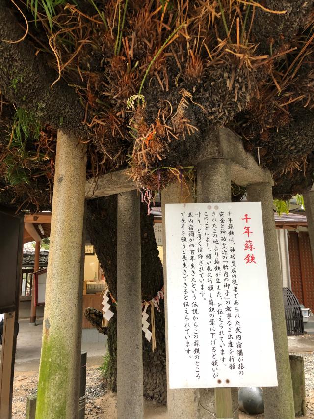 鳥飼八幡宮の情報 御朱印集めに 神社 お寺検索no 1 神社がいいね お寺がいいね 13万件以上の神社仏閣情報掲載