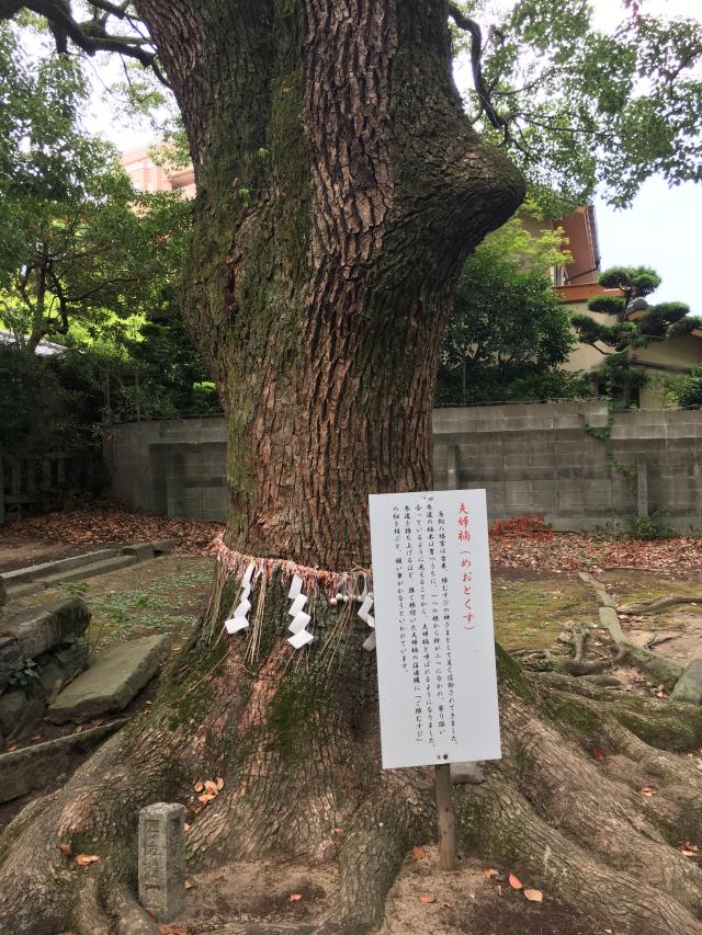 福岡県福岡市中央区今川2-1-17 鳥飼八幡宮の写真8