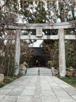 鳥飼八幡宮の参拝記録(くルミさん)