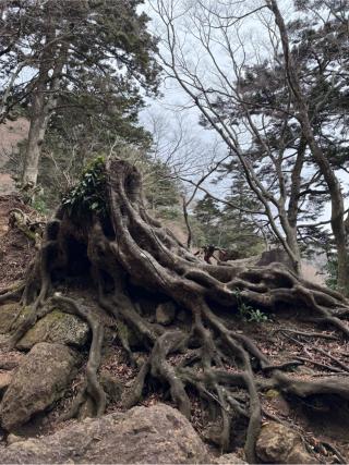 大山阿夫利神社本社（頂上本社）の参拝記録(minuさん)