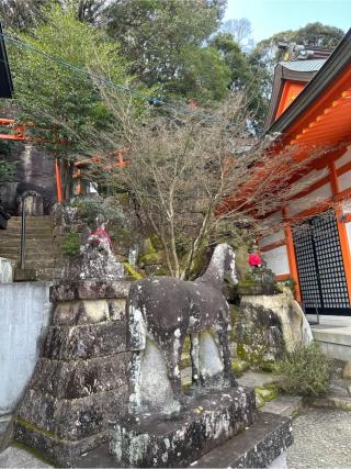 御館山稲荷神社の参拝記録(おかちゃんさん)