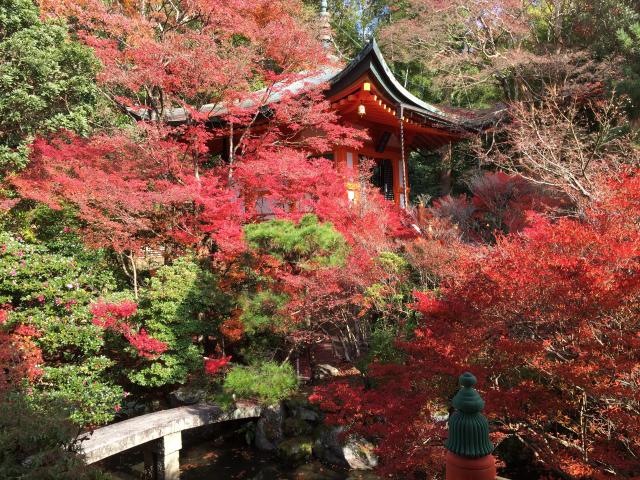 京都府京都市山科区安朱稲荷山町18 護法山 出雲寺(毘沙門堂門跡)の写真7