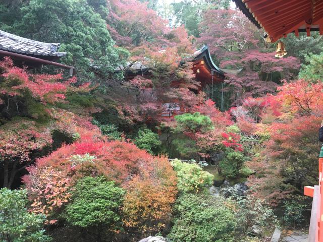 京都府京都市山科区安朱稲荷山町18 護法山 出雲寺(毘沙門堂門跡)の写真5