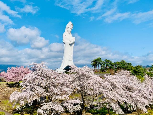 法國寺の参拝記録8