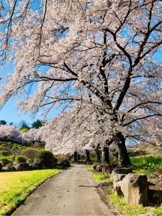 法國寺の参拝記録(SUPRAさん)