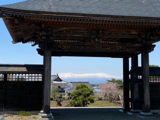 法國寺の参拝記録(さくらまんじゅうさん)