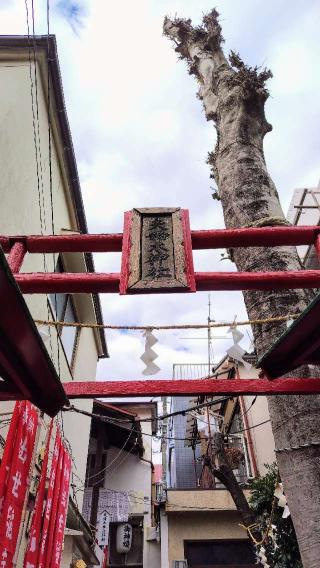 夫婦木神社の参拝記録(オトギリルさん)
