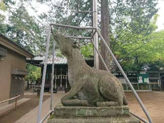 東京都杉並区宮前3-1-2 大宮前春日神社の写真3