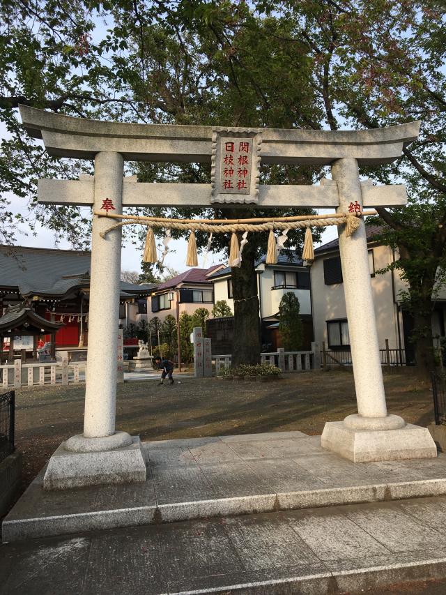 関根神社・日枝神社の参拝記録5