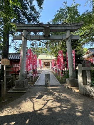 白岡八幡神社の参拝記録(こーちんさん)