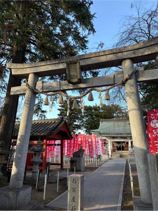 白岡八幡神社の参拝記録(⛩️🎠🐢まめ🐢🎠⛩️さん)