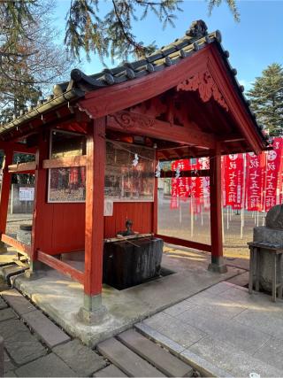 白岡八幡神社の参拝記録(⛩️🎠🐢まめ🐢🎠⛩️さん)