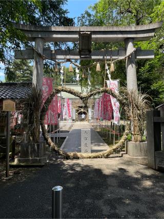 白岡八幡神社の参拝記録(GYOSHIさん)