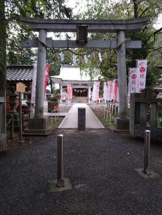 白岡八幡神社の参拝記録(GYOSHIさん)