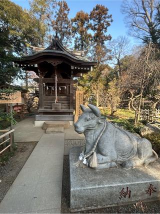 白岡八幡神社の参拝記録(ゆうさん)