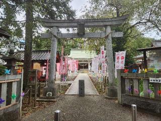 白岡八幡神社の参拝記録(サヨナラ王子さん)