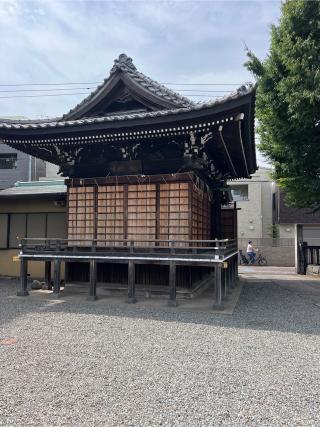 春日神社の参拝記録(⛩️🐍🐢まめ🐢🐍⛩️さん)