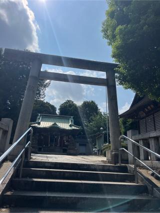 赤羽北諏訪神社の参拝記録(⛩️🐍🐢まめ🐢🐍⛩️さん)