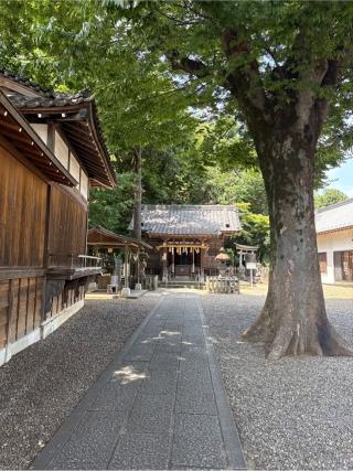 江古田浅間神社の参拝記録(⛩️🎠🐢まめ🐢🎠⛩️さん)