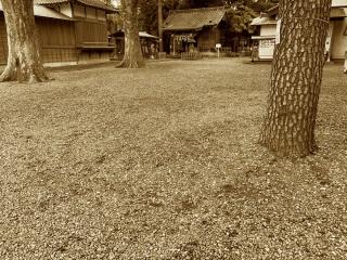 江古田浅間神社の参拝記録(shikigami_hさん)