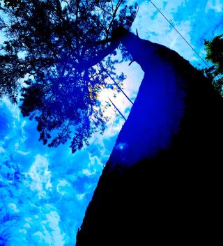 江古田浅間神社の参拝記録(shikigami_hさん)