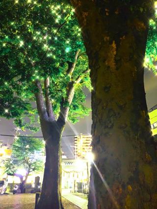 江古田浅間神社の参拝記録(shikigami_hさん)