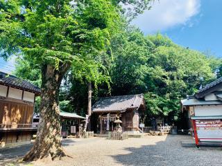 江古田浅間神社の参拝記録(shikigami_hさん)