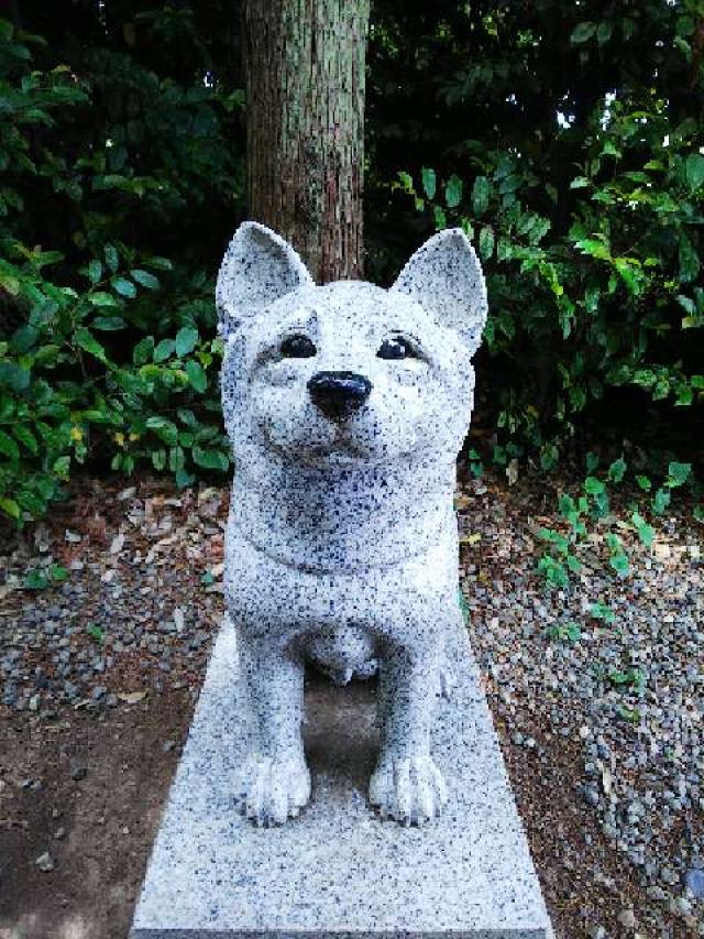 神奈川県座間市座間1丁目3437 伊奴寝子社(座間神社)の写真4