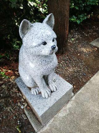 伊奴寝子社(座間神社)の参拝記録(またたびさん)