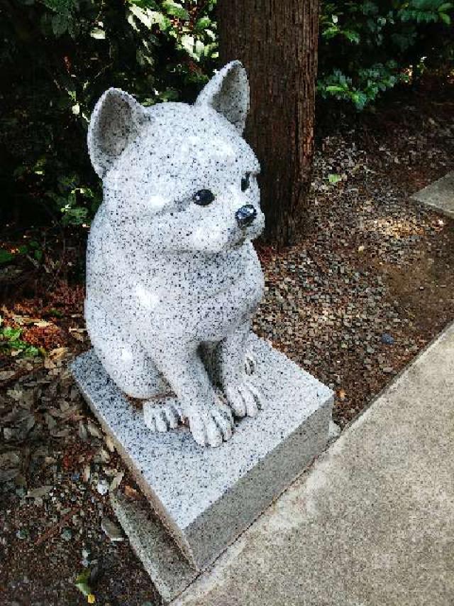 神奈川県座間市座間1丁目3437 伊奴寝子社(座間神社)の写真15