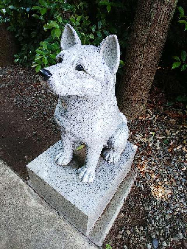 神奈川県座間市座間1丁目3437 伊奴寝子社(座間神社)の写真16