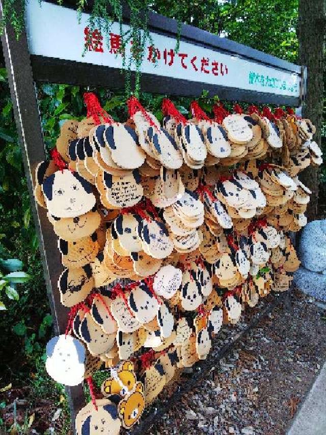 神奈川県座間市座間1丁目3437 伊奴寝子社(座間神社)の写真21