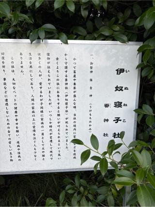 伊奴寝子社(座間神社)の参拝記録(⛩️🐍🐢まめ🐢🐍⛩️さん)