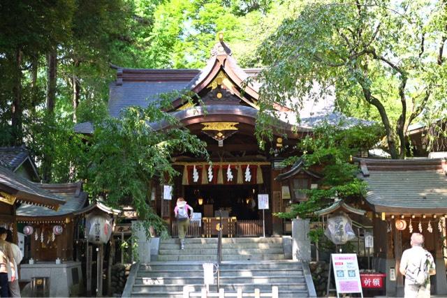 子安神社（中野山王）の参拝記録10