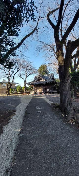 子安神社（中野山王）の参拝記録(まーぼーさん)