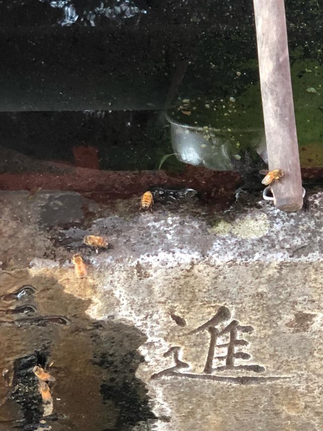 福岡県久留米市御井町2608-1 大学稲荷神社（高良大社末社）の写真3