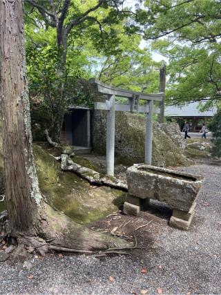 厳島社（安房神社末社）の参拝記録(⛩️🐍🐢まめ🐢🐍⛩️さん)