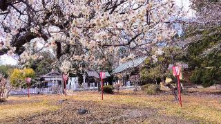 相馬神社の参拝記録(オトギリルさん)