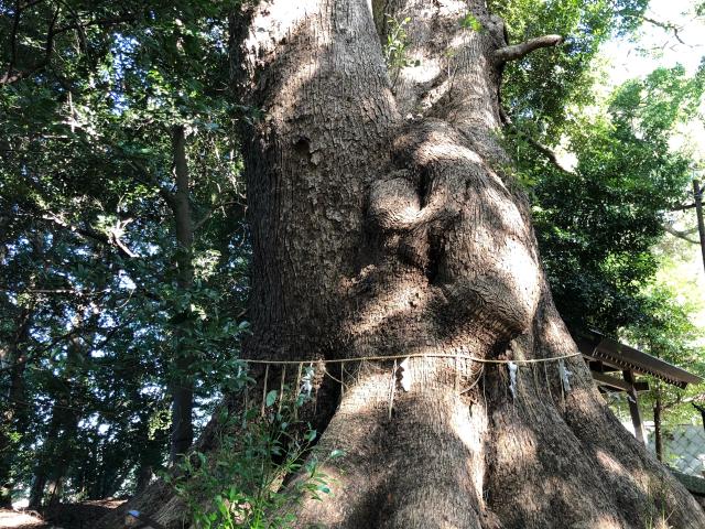 福岡県古賀市青柳１６８７ 五所八幡宮の写真4