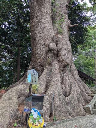 五所八幡宮の参拝記録(こまいぬおさん)