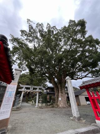 五所八幡宮の参拝記録(みんきちさん)