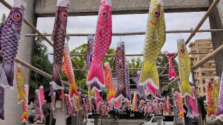 廣瀬神社の参拝記録(パスカルさん)