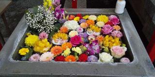 大牟田神社の参拝記録(nonoさん)