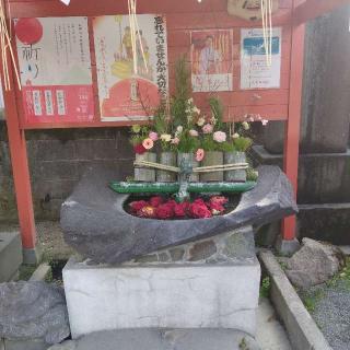 大牟田神社の参拝記録(くるみかなさん)