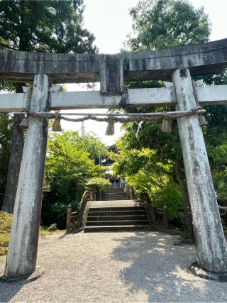 黒髪神社の参拝記録(こうじさん)