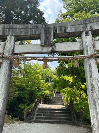 黒髪神社の参拝記録(さっちゃんさん)