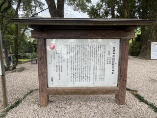 男女神社の参拝記録(みんきちさん)
