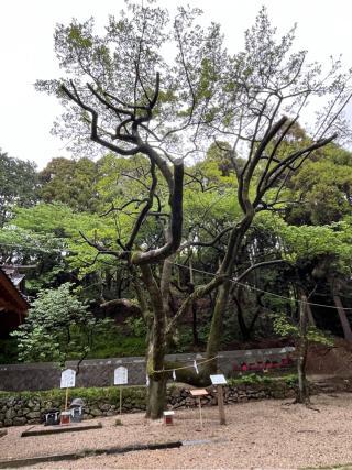男女神社の参拝記録(てんさん)