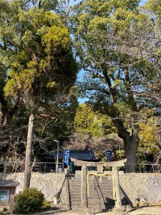 男女神社の参拝記録(りんさん)