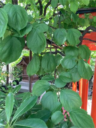 八房海上稲荷神社の参拝記録(さんとんさん)